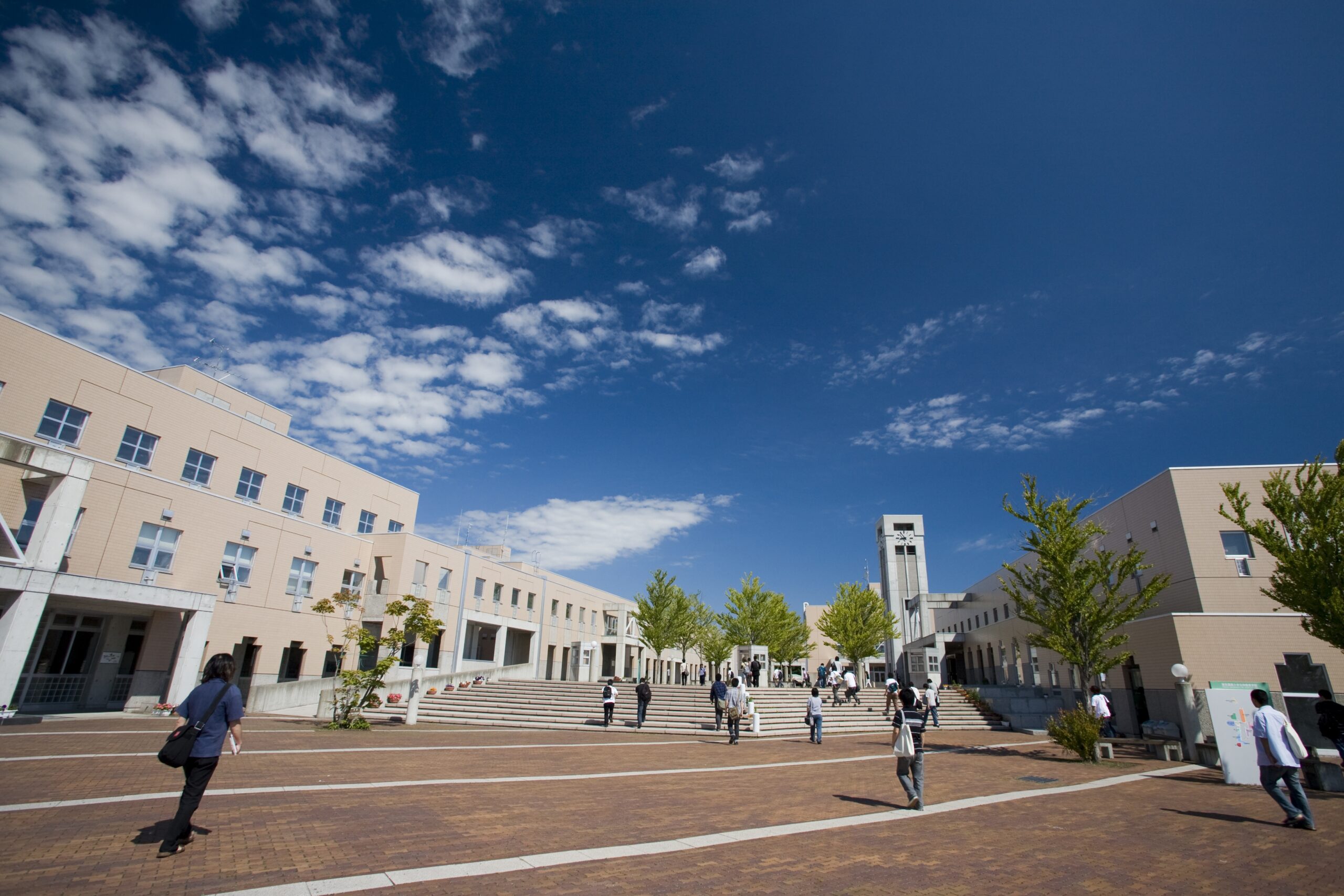 中庭イメージ_0