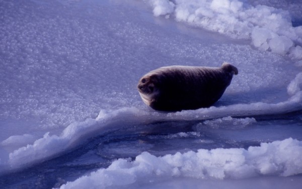 messageImage_1720781011374